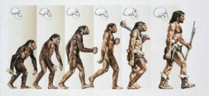 fede e ragione, evoluzionismo uomo