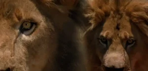 Animali posseduti, Spiriti nelle tenebre