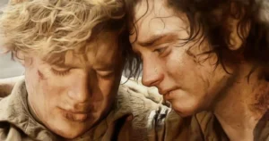 anime complementari, amicizia di Frodo e Sam