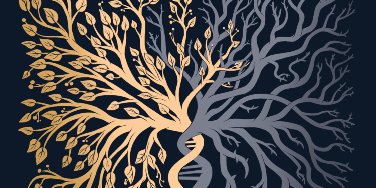 La storia del Figlio – Le origini del male: trailer