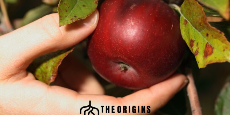 Il peccato originale è ereditario?