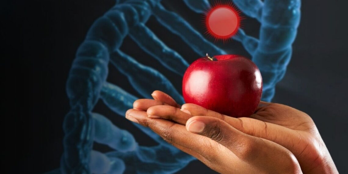 Il peccato originale riguarda il DNA?