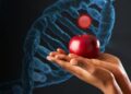 Il peccato originale riguarda il DNA?