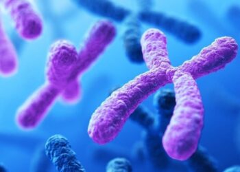 Fede e ragione: la sconfitta della Riduzione Cromosomica