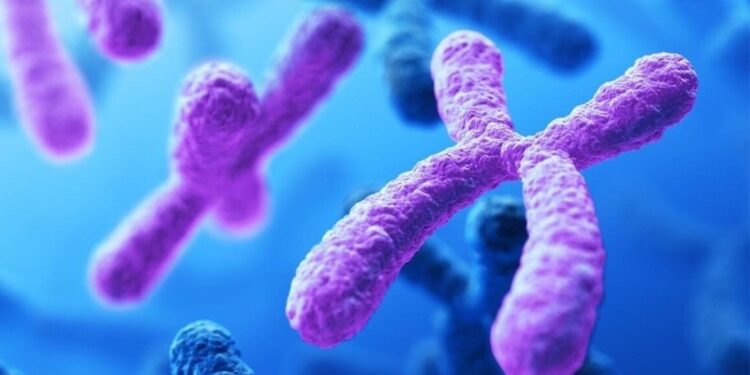 Fede e ragione: la sconfitta della Riduzione Cromosomica